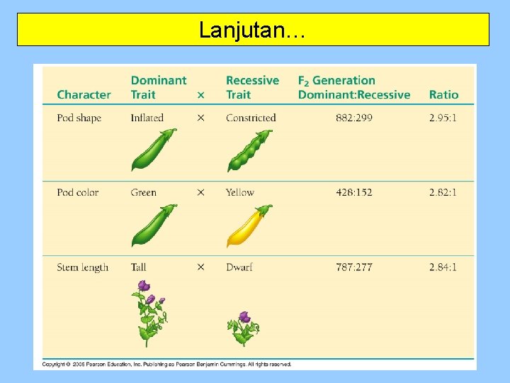 Lanjutan… 