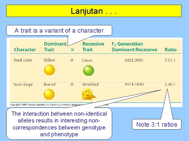 Lanjutan. . . A trait is a variant of a character The interaction between