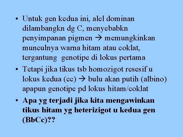  • Untuk gen kedua ini, alel dominan dilambangkn dg C, menyebabkn penyimpanan pigmen