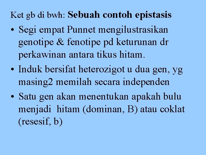 Ket gb di bwh: Sebuah contoh epistasis • Segi empat Punnet mengilustrasikan genotipe &