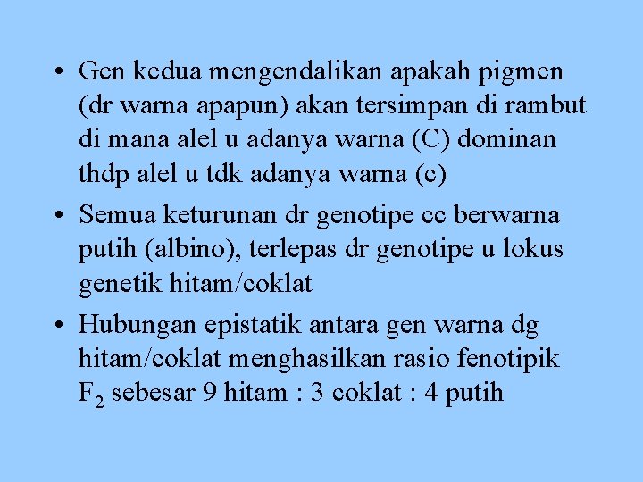  • Gen kedua mengendalikan apakah pigmen (dr warna apapun) akan tersimpan di rambut