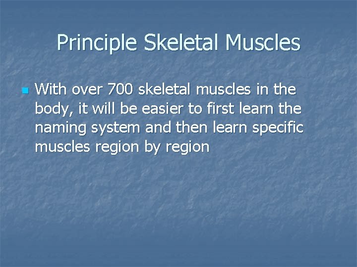 Principle Skeletal Muscles n With over 700 skeletal muscles in the body, it will