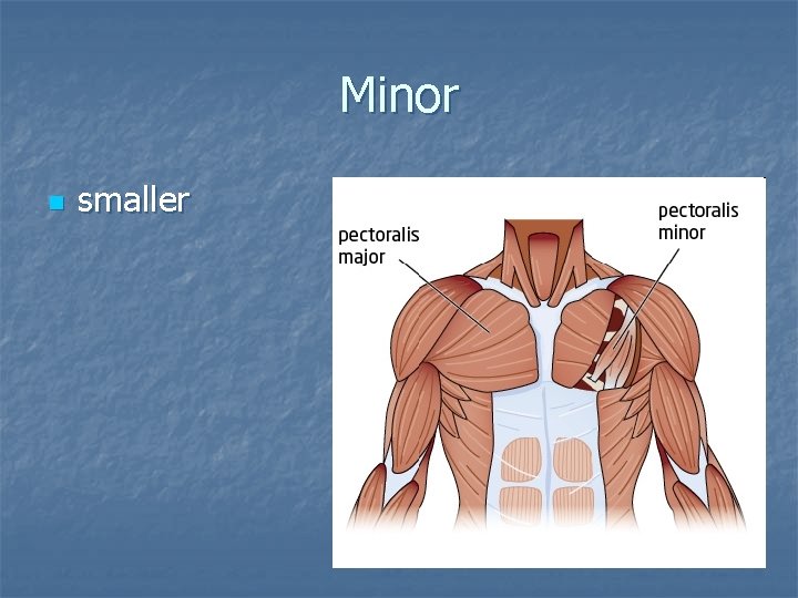 Minor n smaller 