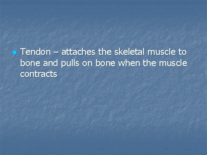 n Tendon – attaches the skeletal muscle to bone and pulls on bone when