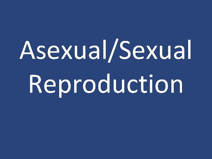Asexual/Sexual Reproduction 