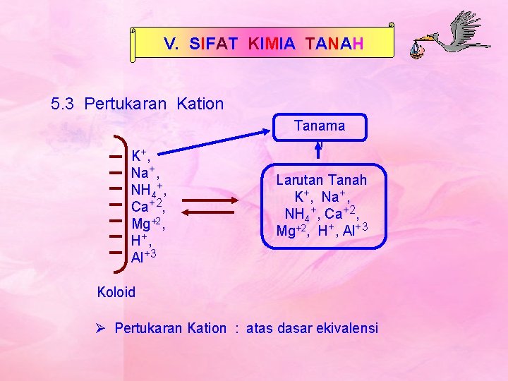 V. SIFAT KIMIA TANAH 5. 3 Pertukaran Kation K+, Na+, NH 4+, Ca+2, Mg+2,