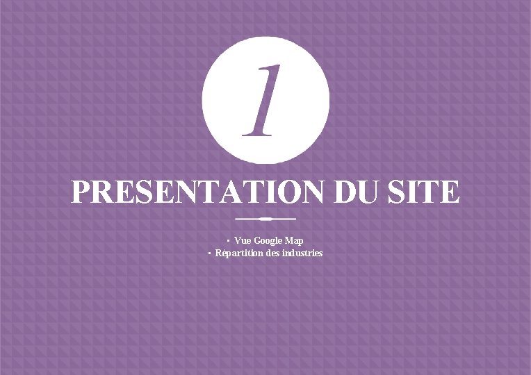 PRESENTATION DU SITE • Vue Google Map • Répartition des industries 