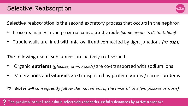 Selective Reabsorption Selective reabsorption is the second excretory process that occurs in the nephron