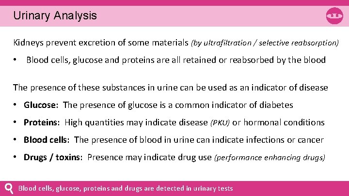 Urinary Analysis Kidneys prevent excretion of some materials (by ultrafiltration / selective reabsorption) •