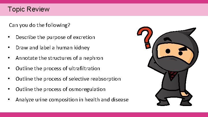 Topic Review Can you do the following? • Describe the purpose of excretion •