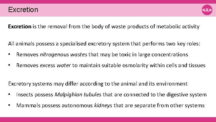 Excretion is the removal from the body of waste products of metabolic activity All