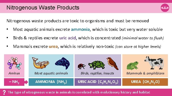 Nitrogenous Waste Products Nitrogenous waste products are toxic to organisms and must be removed