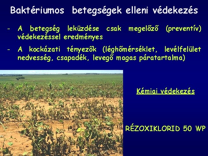 Baktériumos betegségek elleni védekezés - A betegség leküzdése csak védekezéssel eredményes - A kockázati