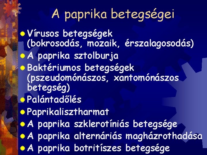 A paprika betegségei ® Vírusos betegségek (bokrosodás, mozaik, érszalagosodás) ® A paprika sztolburja ®