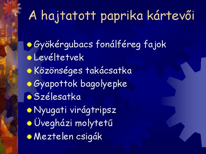 A hajtatott paprika kártevői ® Gyökérgubacs fonálféreg fajok ® Levéltetvek ® Közönséges takácsatka ®