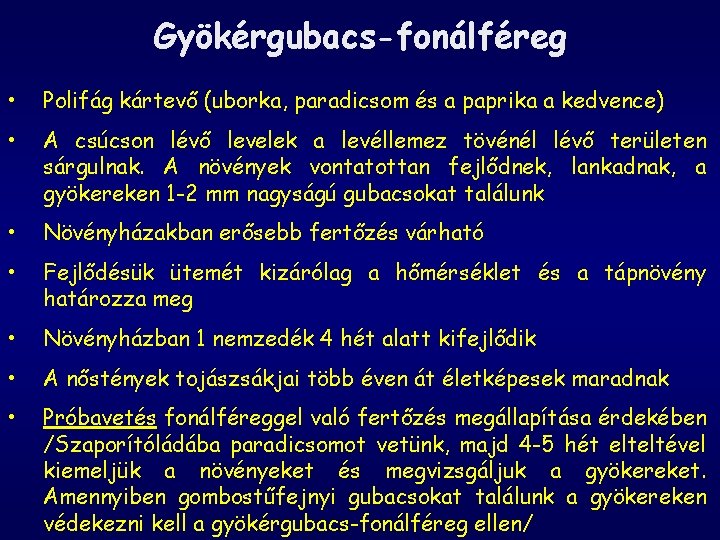 Gyökérgubacs-fonálféreg • Polifág kártevő (uborka, paradicsom és a paprika a kedvence) • A csúcson