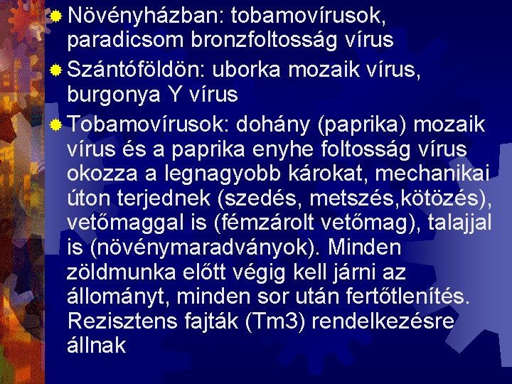 ® Növényházban: tobamovírusok, paradicsom bronzfoltosság vírus ® Szántóföldön: uborka mozaik vírus, burgonya Y vírus