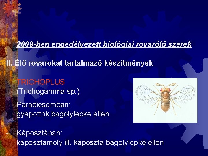 2009 -ben engedélyezett biológiai rovarölő szerek II. Élő rovarokat tartalmazó készítmények TRICHOPLUS (Trichogamma sp.