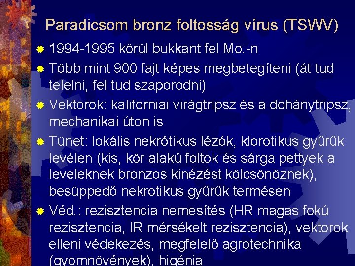 Paradicsom bronz foltosság vírus (TSWV) ® 1994 -1995 körül bukkant fel Mo. -n ®