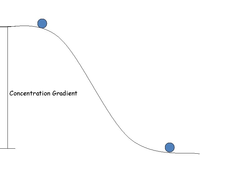 Concentration Gradient Concentration Gradient