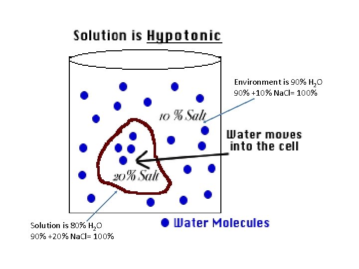 Environment is 90% H 2 O 90% +10% Na. Cl= 100% Solution is 80% Environment is 90% H 2 O 90% +10% Na. Cl= 100% Solution is 80%