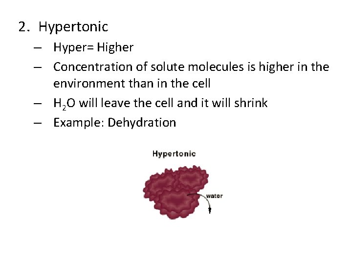 2. Hypertonic – Hyper= Higher – Concentration of solute molecules is higher in the