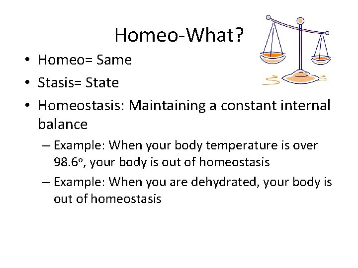 Homeo-What? • Homeo= Same • Stasis= State • Homeostasis: Maintaining a constant internal balance