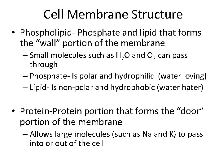 Cell Membrane Structure • Phospholipid- Phosphate and lipid that forms the “wall” portion of Cell Membrane Structure • Phospholipid- Phosphate and lipid that forms the “wall” portion of