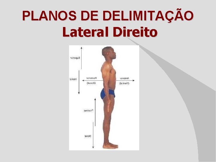 PLANOS DE DELIMITAÇÃO Lateral Direito 