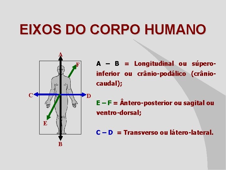 EIXOS DO CORPO HUMANO A A – B = Longitudinal ou súpero- F inferior