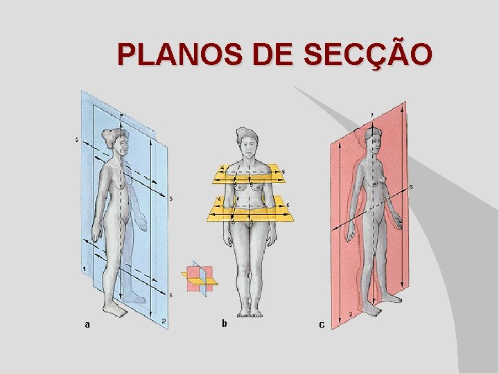PLANOS DE SECÇÃO 