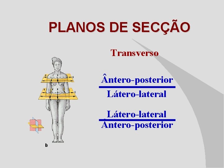 PLANOS DE SECÇÃO Transverso ntero-posterior Látero-lateral ntero-posterior 
