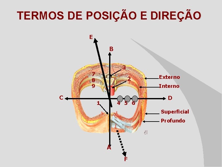 TERMOS DE POSIÇÃO E DIREÇÃO E B 3 7 8 9 C 2 Externo