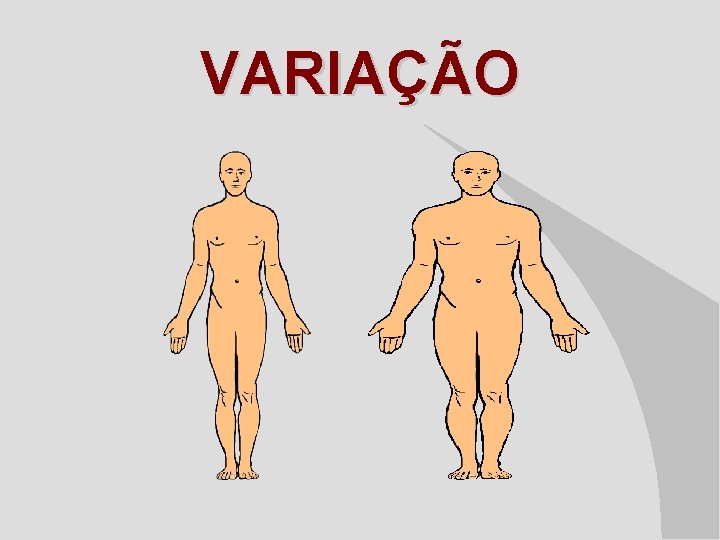 VARIAÇÃO 