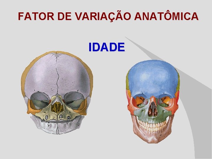 FATOR DE VARIAÇÃO ANATÔMICA IDADE 