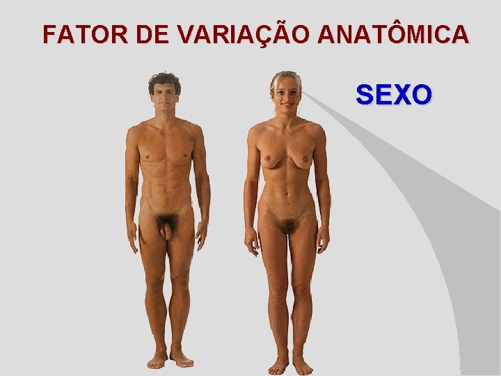 FATOR DE VARIAÇÃO ANATÔMICA SEXO 
