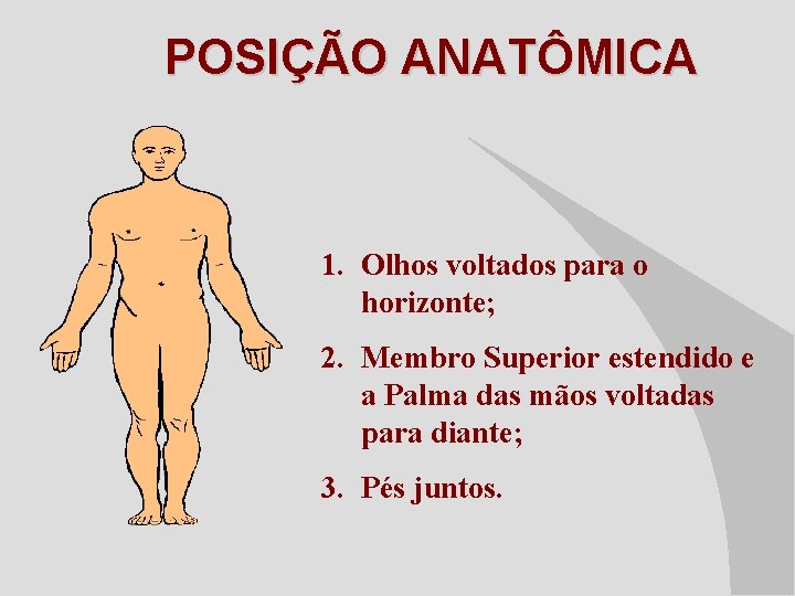 POSIÇÃO ANATÔMICA 1. Olhos voltados para o horizonte; 2. Membro Superior estendido e a
