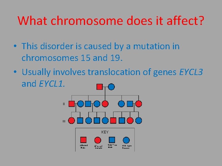 What chromosome does it affect? • This disorder is caused by a mutation in