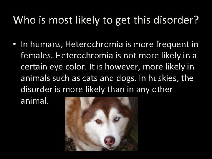 Who is most likely to get this disorder? • In humans, Heterochromia is more