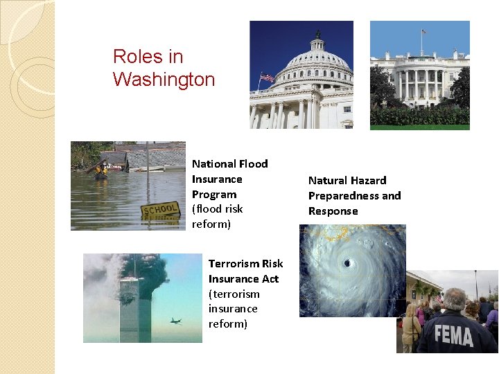 Roles in Washington National Flood Insurance Program (flood risk reform) Terrorism Risk Insurance Act