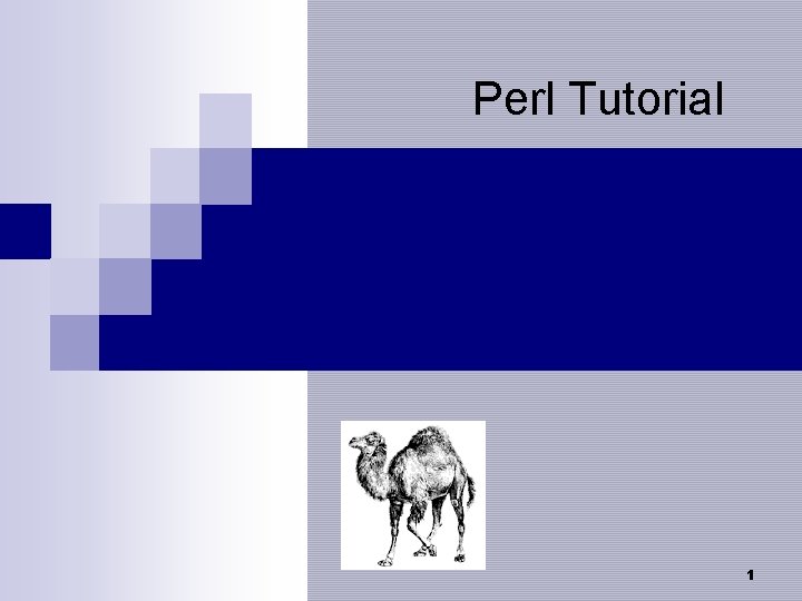 Perl Tutorial 1 