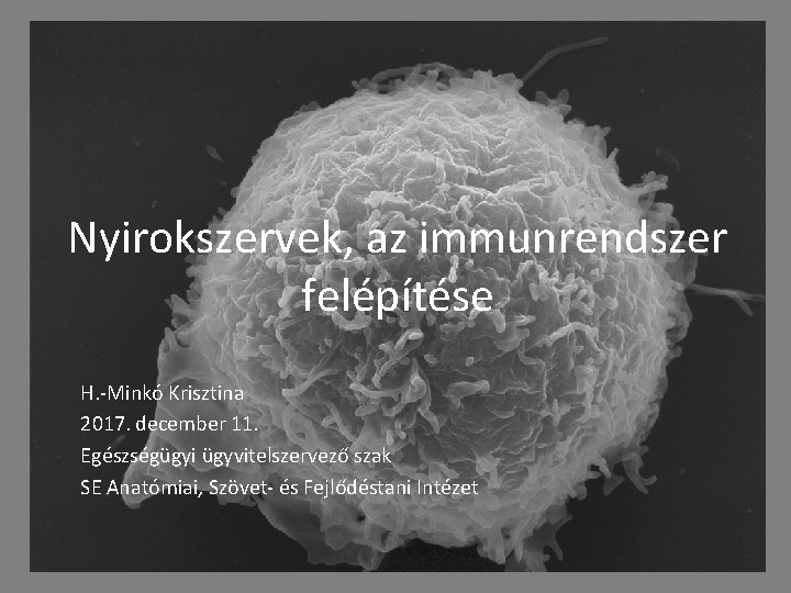 Nyirokszervek, az immunrendszer felépítése H. -Minkó Krisztina 2017. december 11. Egészségügyi ügyvitelszervező szak SE