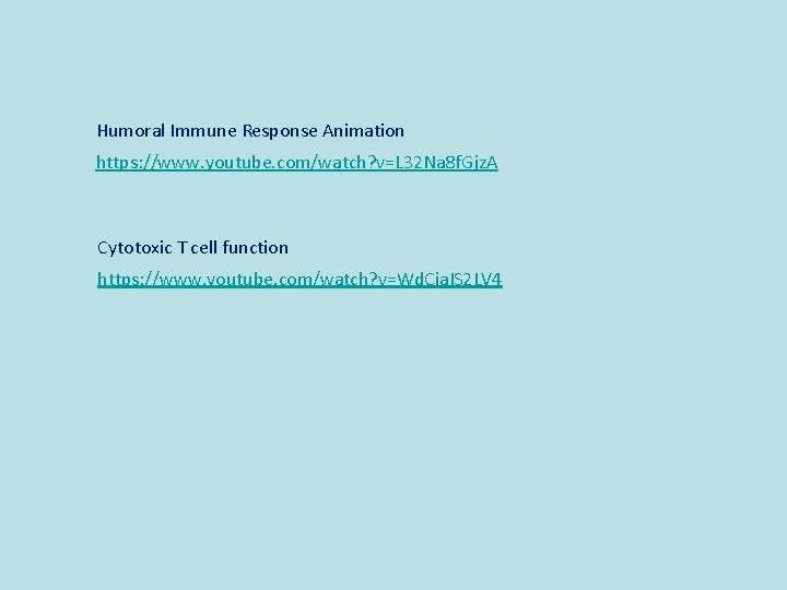 Humoral Immune Response Animation https: //www. youtube. com/watch? v=L 32 Na 8 f. Gjz.