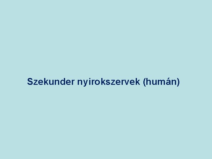 Szekunder nyirokszervek (humán) 