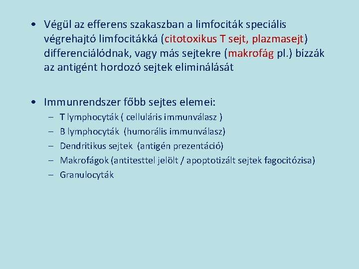  • Végül az efferens szakaszban a limfociták speciális végrehajtó limfocitákká (citotoxikus T sejt,