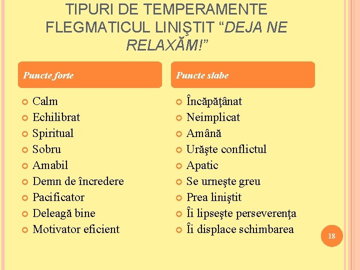 Cine Suntem 1 Autor Nadina Laura Frncu Suntem