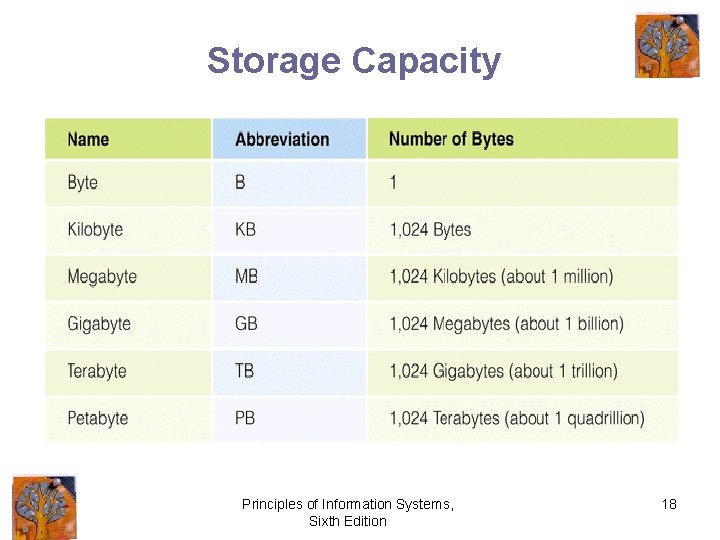 Storage Capacity Principles of Information Systems, Sixth Edition 18 