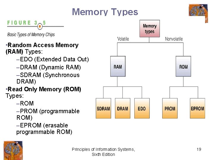 Memory Types • Random Access Memory (RAM) Types: –EDO (Extended Data Out) –DRAM (Dynamic