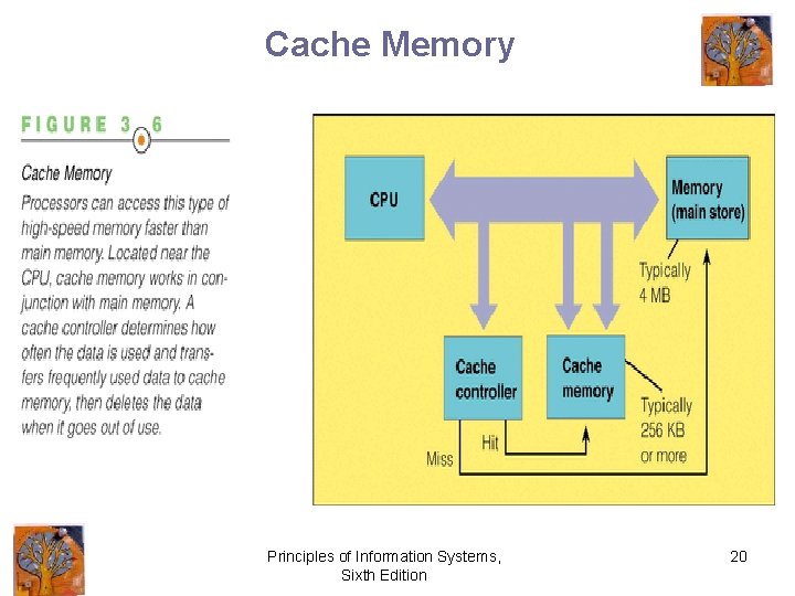 Cache Memory Principles of Information Systems, Sixth Edition 20 