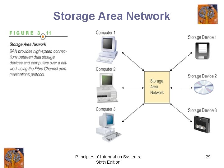 Storage Area Network Principles of Information Systems, Sixth Edition 29 